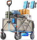 Carros y vagoneta, LiTHELi, Adecuado para Camping, jardín, Capacidad de 200 l, Capacidad de Carga de 60 kg, 2 Frenos, Color Gris (2 Pilas)